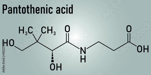 Vitamin B5 or pantothenic acid, pantothenate, molecule. Skeletal formula.