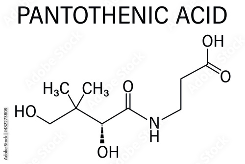 Vitamin B5 or pantothenic acid, pantothenate, molecule. Skeletal formula.