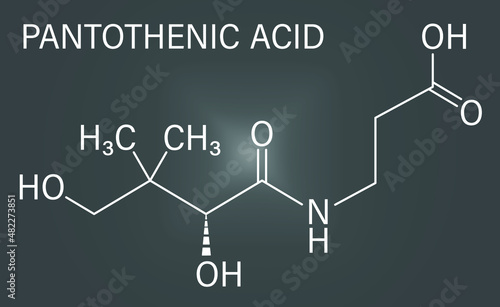 Vitamin B5 or pantothenic acid, pantothenate, molecule. Skeletal formula.