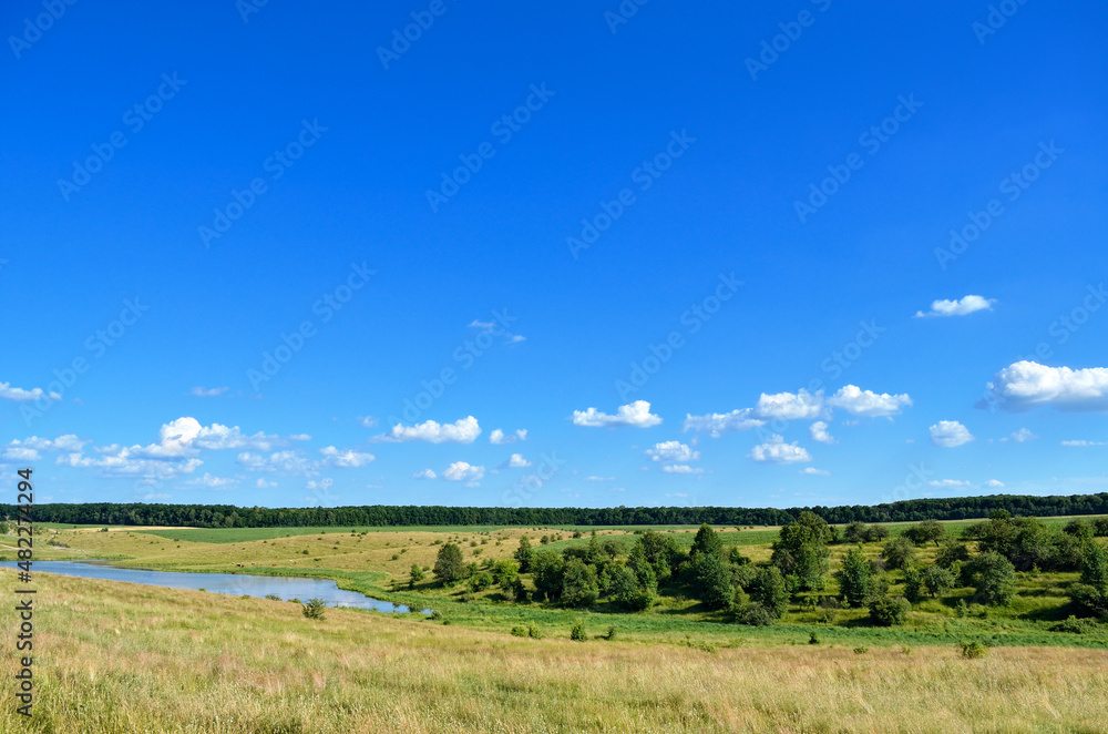 Pasture and forest on the background of the sky