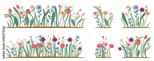 Spring forest and garden flowers isolated set. Garden flowerbeds and green grass pack on white background. Tulips, daisies, and plant branch branches with leaves. Illustration of wildflower