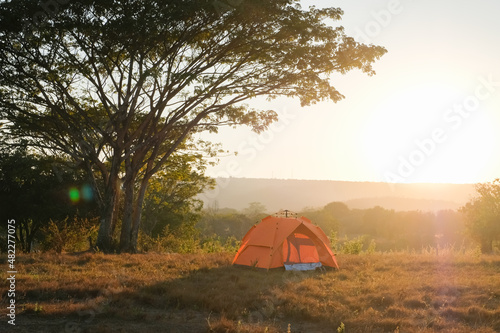 orange tent at a tourist campsite stands under bush near open grass field in the morning sunrise. 