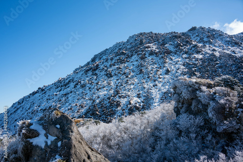 仁田峠の霧氷 photo