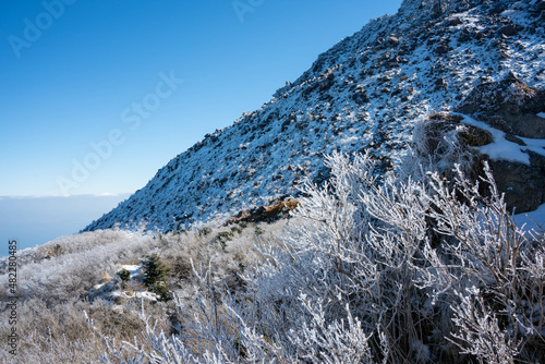 仁田峠の霧氷 photo