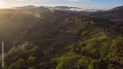 aerial view of tea plantations in Ranau Sabah with beautiful majestic Mount Kinabalu at background.