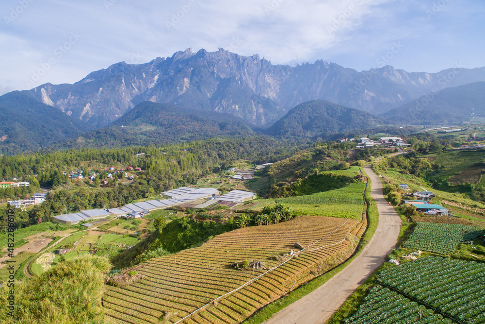 aerial view of Kundasang Sabah landscape with cabbage farm and Mount Kinabalu at far background during morning.