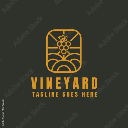 Vineyard Logo of Organic Natural Winery or Wineyard, Quality Label or Badge for a Production Package or Bottle, Minimalistic Outline Concept with land grape and light