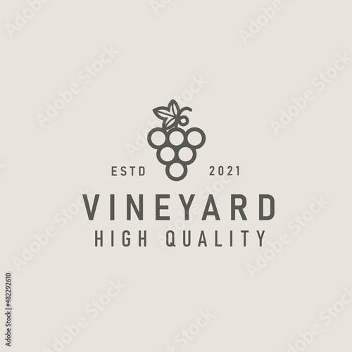 Vineyard Logo of Organic Natural Winery or Wineyard, Quality Label or Badge for a Production Package or Bottle, Minimalistic Outline Concept with grape