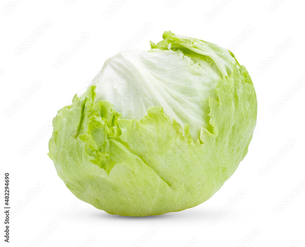 Fresh Green Iceberg lettuce On White Fresh Green Iceberg lettuce On White