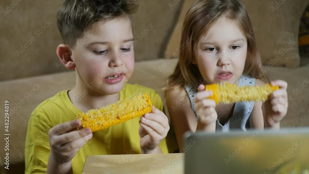 teenage children brother and sister eat boiled sweet corn in front of a laptop screen while watching their favorite cartoon and movie series. natural health products
