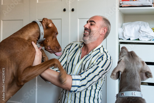 Canvas Print Happy middle-aged man enjoys playing with his two dogs at home