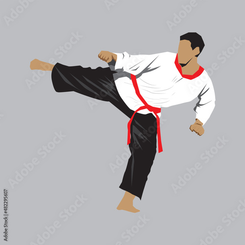 martial arts vector illustration