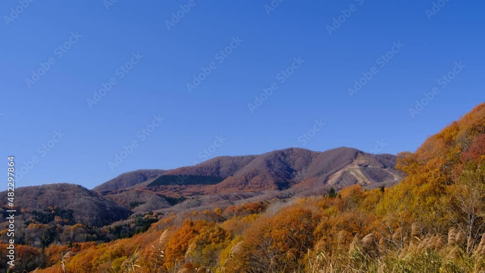 斑尾山の黄葉 斑尾山の黄葉