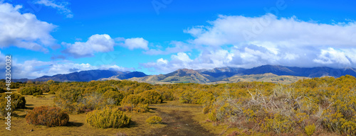 Panorama of the Wilderness Scientific Reserve near Te Anau, New Zealand. The bog pines growing here may be hundreds of years old © Michael