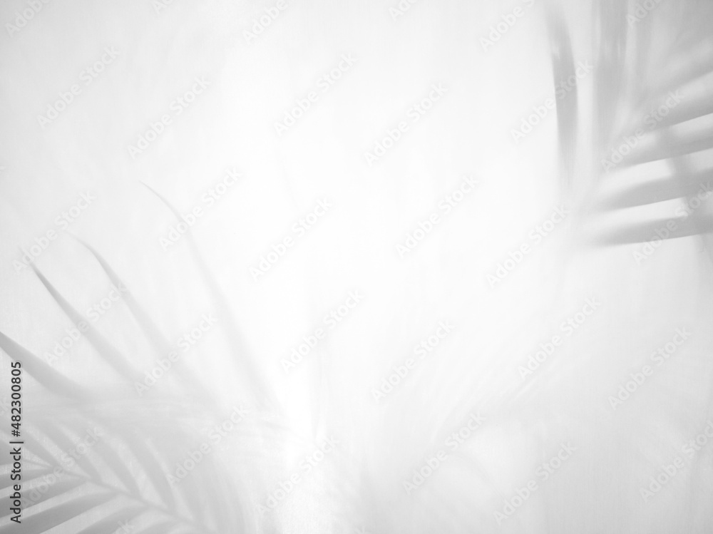 Close-up, the leaves shadow from canvas. Close-up, the leaves shadow from canvas.