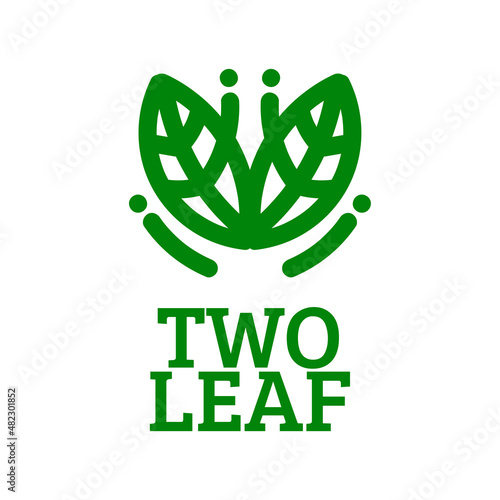 two leaf Green nature logo concept design illustration