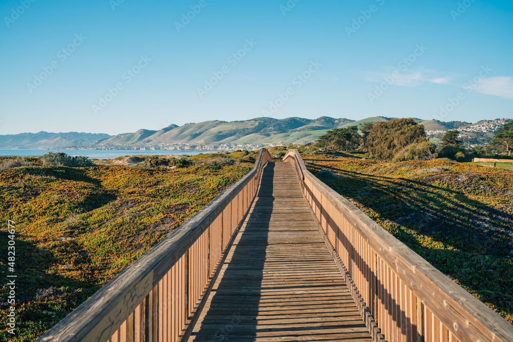 Wooden boardwalk through several diverse natural habitats for viewing flora and fauna, Oceano, California