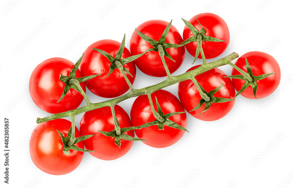 twig with cherry tomatoes on isolated white background, top view twig with cherry tomatoes on isolated white background, top view