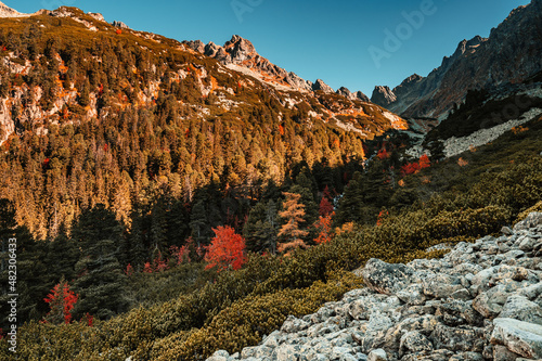 Hiking Popradske lake to Ostrva peak , very popular hiking destination in High Tatras National park, Slovakia nature photo