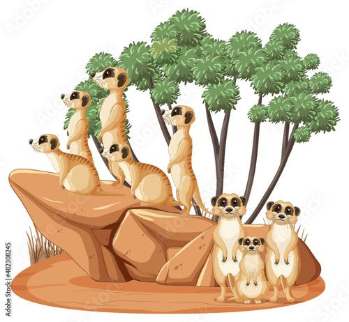 Group of meerkats in cartoon style