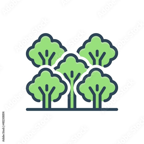 Color illustration icon for grove