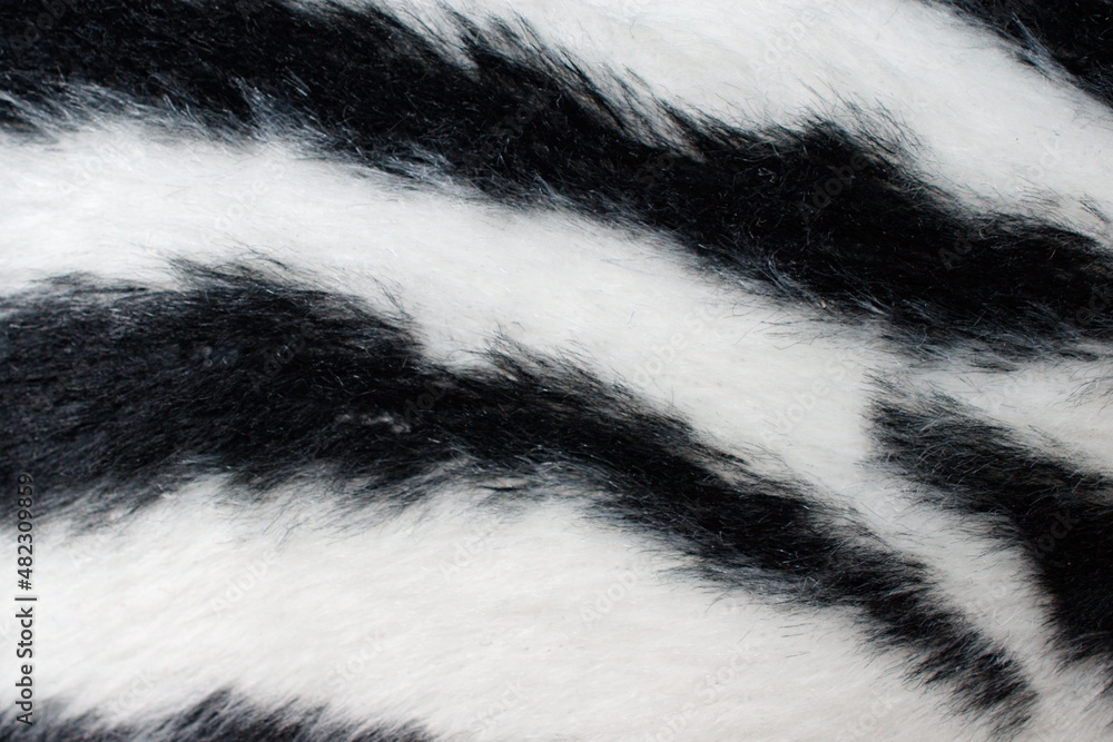 Beautiful abstract pattern black and white close-up zebra skin fur background Beautiful abstract pattern black and white close-up zebra skin fur background