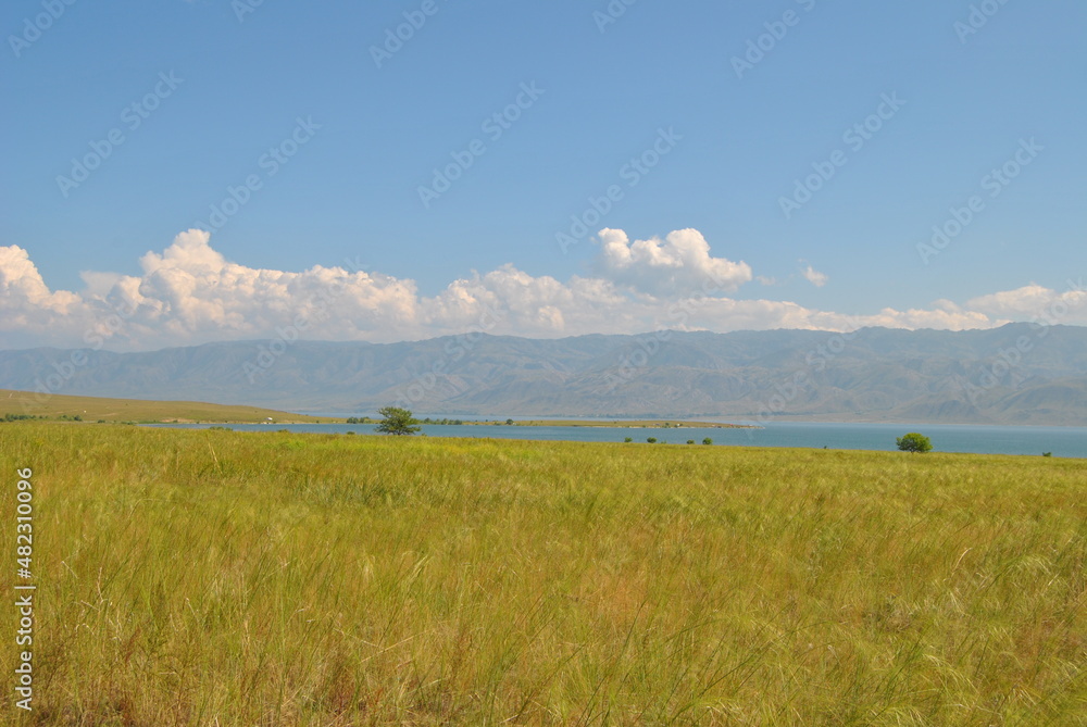 Seascape. Beautiful lake shore. Gentle clouds and blue water surface. Bukhtarma reservoir.