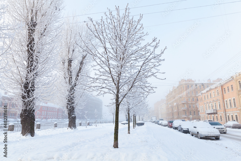 Naklejka premium Winter in Saint-Petersburg, Russia