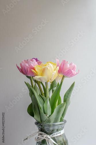 fresh colorful tulips bouquet. spring flowers