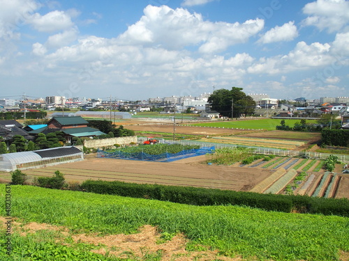 秋の江戸川土手から見た畑風景