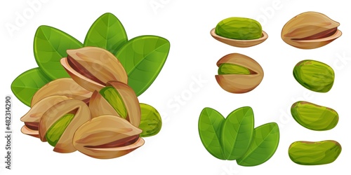Pistachios heap, nut and shell design element set. Healthy organic food