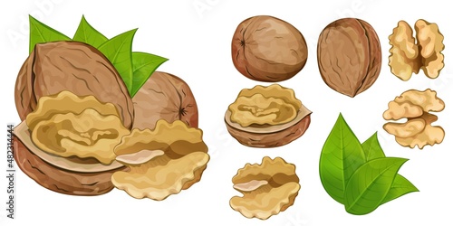 Walnut piece cooking ingredient or vegetarian diet snack set. Natural healthy food nut