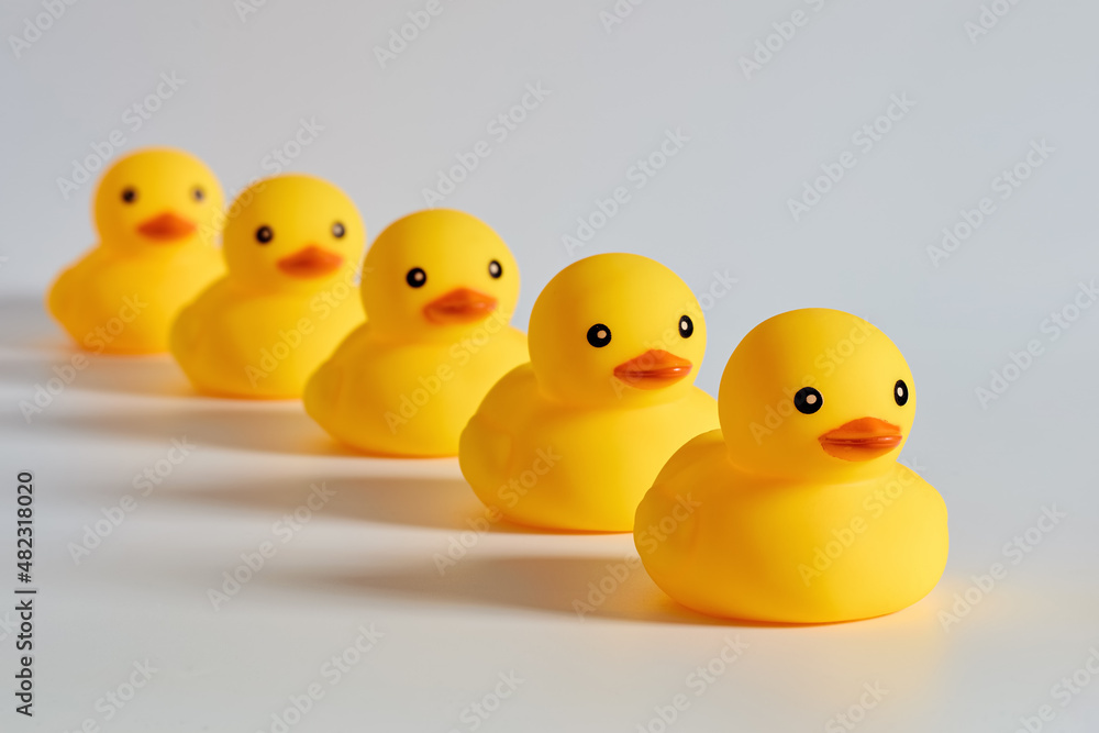 Concept of leadership, compliance or obedience. Concept of leadership, compliance or obedience.