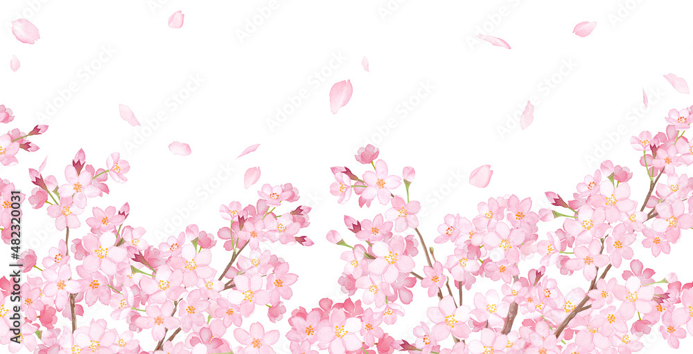 桜と散る花びらの横方向シームレスパターン。水彩イラスト。フレーム装飾。
