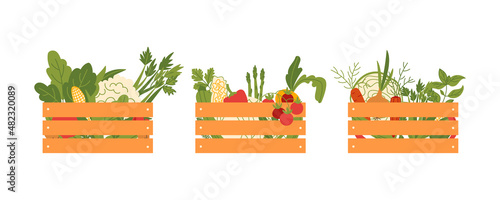Fresh vegetables in wooden crates on a white background.  Vector flat illustration with organic plant food