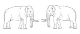Asian elephant bull. Elephant template for coloring book.