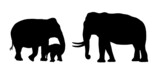 Asian elephant family. Elephant bull, cow and baby elephant. Elephants silhouette illustration.	