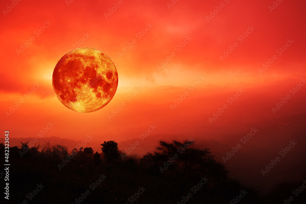 blood moon concept of a red full moon in red sky with cloud. blood moon concept of a red full moon in red sky with cloud.