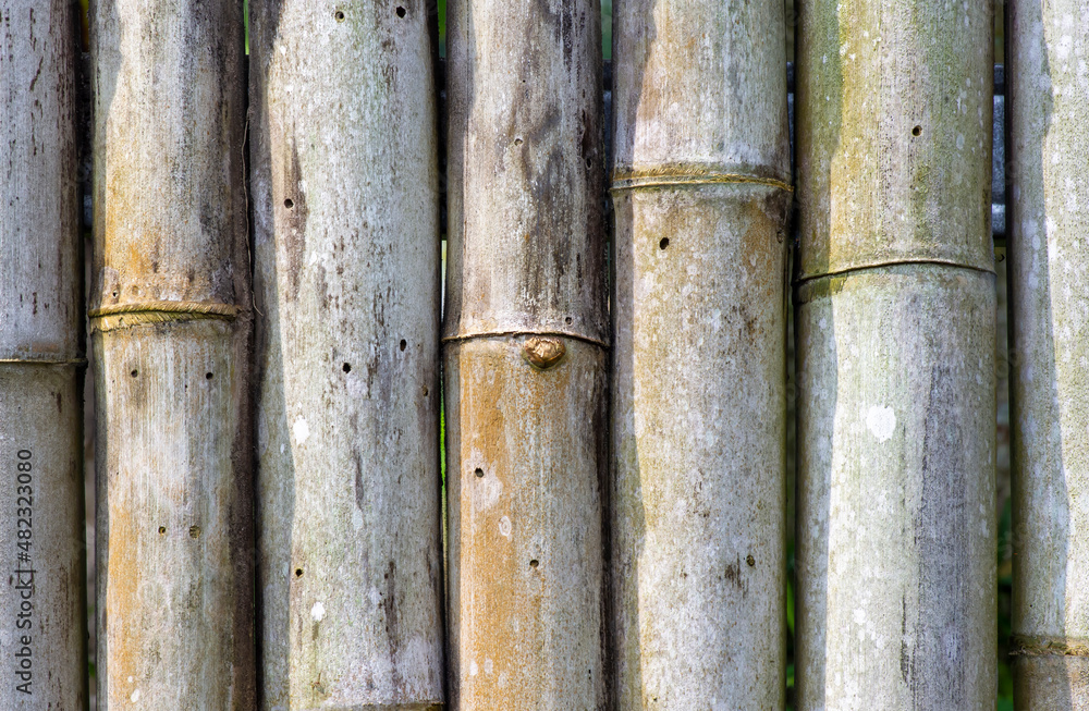Old bamboo fence texture background Old bamboo fence texture background