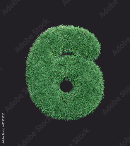 Grass number six. Eco symbol 6 withthe green lawn texture, isolated grassy digit, 3d rendering photo