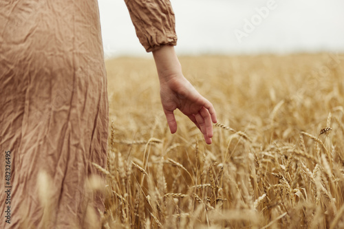 hand the farmer concerned the ripening of wheat ears in early summer harvest