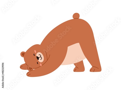 Cute baby bear fooling around, having fun. Funny amusing teddy animal in comic pose. Happy positive sweet adorable character. Childish flat graphic vector illustration isolated on white background