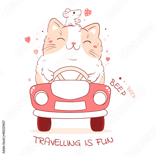 Cute traveler friends rides in car. Adventurers cat and mouse travels by car