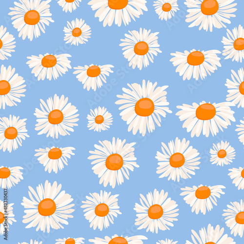 Seamless pattern with funny cartoon chamomile in blue background. Spring texture. Editable Vector Illustration.