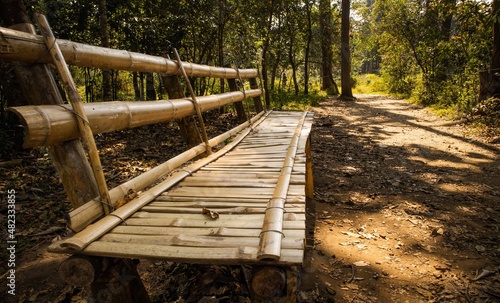 bench made using bamboo tree pieces