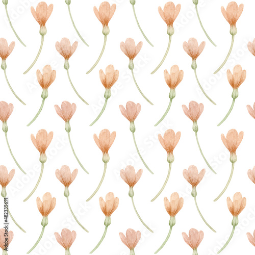 Watercolor pattern with pink crocuses and leaves on a white background.