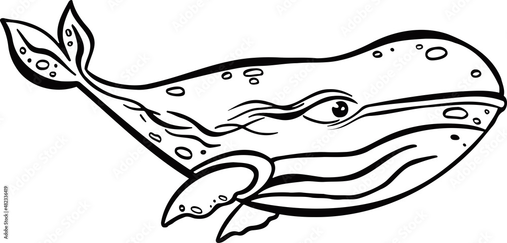 Line sea whale, fish symbol hand drawn Line sea whale, fish symbol hand drawn