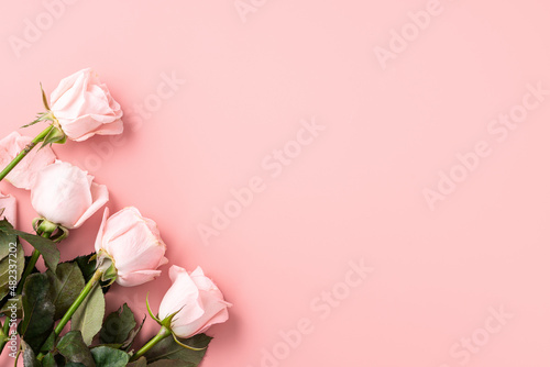 Valentine's Day design concept background with pink rose flower on pink background. © RomixImage