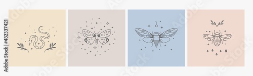 Boho logo design. Geometry line insects, mystic symbols with stars. Magic delicate style icons, bohemian prints. Nature snake, beetle, butterfly, decorative vector design