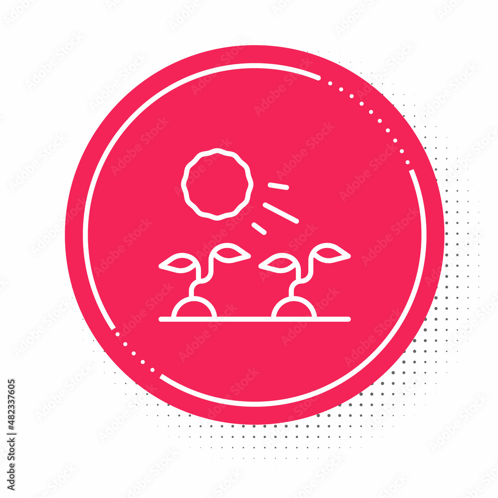 White line Plant sprouts grow in the sun icon isolated on white background. Seedling concept. Red circle button. Vector White line Plant sprouts grow in the sun icon isolated on white background. Seedling concept. Red circle button. Vector